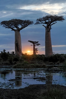 dekens.jpg (68207 bytes)