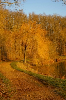 diabolic.jpg (88290 bytes)