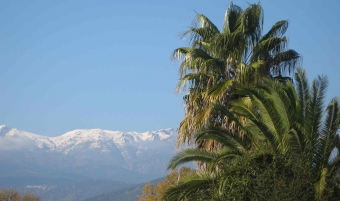 drezet.jpg (54771 bytes)