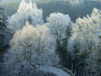 eloi.jpg (78330 bytes)