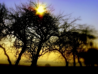 gerard.jpg (86751 bytes)