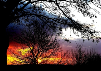 gouchet.jpg (95156 bytes)