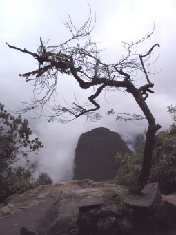 guerquin.jpg (71447 bytes)