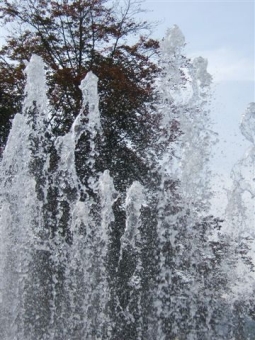 jazmati.jpg (93353 bytes)