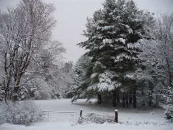 laverdure.jpg (86802 bytes)