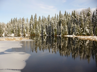 lavoie.jpg (87329 bytes)