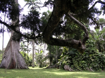 metais.jpg (112066 bytes)