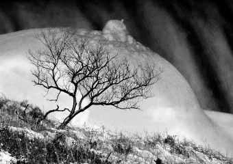 mpj.jpg (71387 bytes)