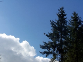 noelmar.jpg (55277 bytes)