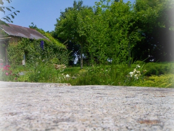 orangina.jpg (97948 bytes)