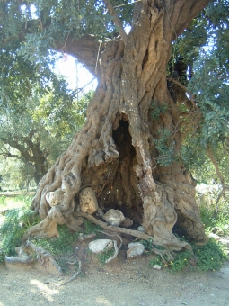 petroli.jpg (106562 bytes)