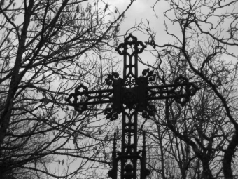 poinsotte.jpg (96656 bytes)