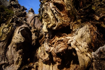 ravishanka.jpg (103061 bytes)