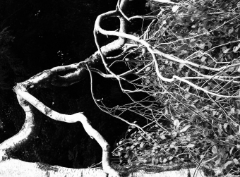 sergejo.jpg (89371 bytes)