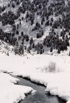 sluce.jpg (81819 bytes)