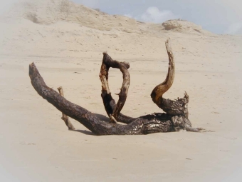 trumeau.jpg (53709 bytes)