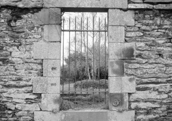 zinzifruit.jpg (79414 bytes)