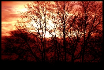 servain.jpg (60401 bytes)