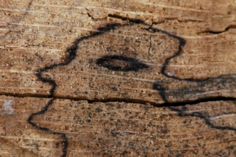 servain.jpg (60401 bytes)