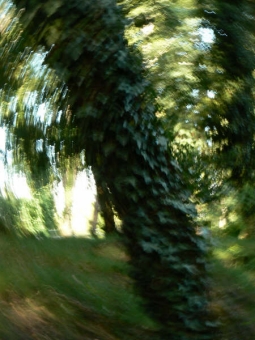 phot.jpg (60401 bytes)