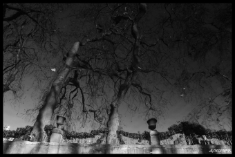 servain.jpg (60401 bytes)