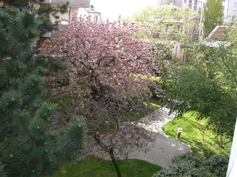 servain.jpg (60401 bytes)