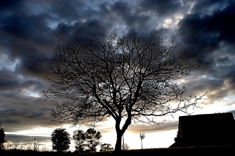 servain.jpg (60401 bytes)