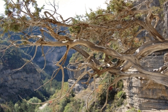 phot.jpg (60401 bytes)