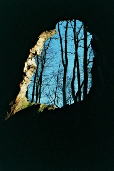 servain.jpg (60401 bytes)