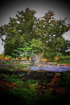 servain.jpg (60401 bytes)