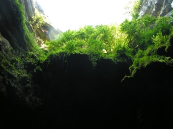 servain.jpg (60401 bytes)