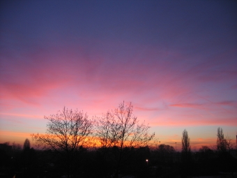 servain.jpg (60401 bytes)