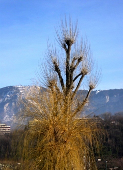 j_thevenin.jpg (59303 bytes)