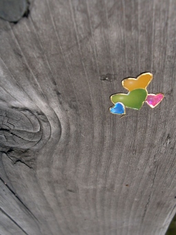 corine2.jpg (50715 bytes)