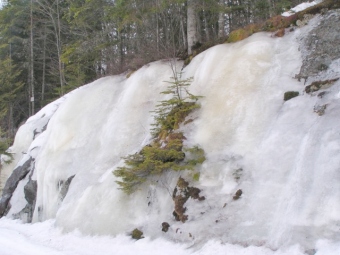 francinebb.jpg (53005 bytes)