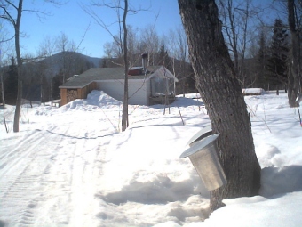 grisou.jpg (56528 bytes)