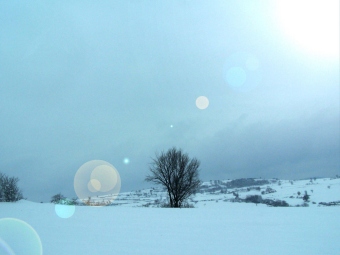 mijalle.jpg (32341 bytes)