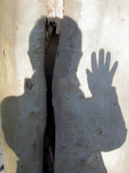 mnmouney.jpg (44799 bytes)