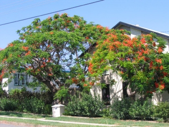 villageon.jpg (82641 bytes)