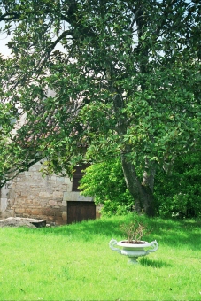 decaires.jpg (84760 bytes)