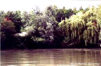 escarras.jpg (63456 bytes)