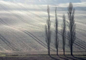 jamlerbour.jpg (64498 bytes)