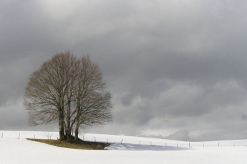 leduc.jpg (31022 bytes)