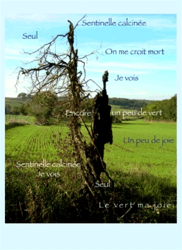 barbier2.jpg (92345 bytes)