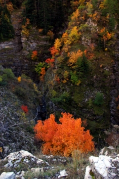 chabaud.jpg (98458 bytes)