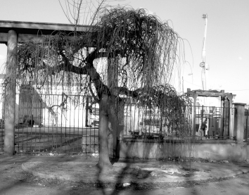 hetroit.jpg (85951 bytes)