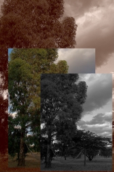 barre.jpg (70038 bytes)