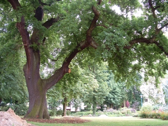 baudy.jpg (116834 bytes)