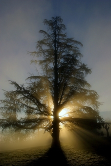 delrieu.jpg (60183 bytes)