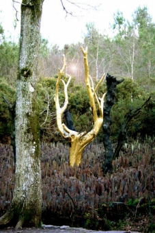 drake.jpg (93184 bytes)